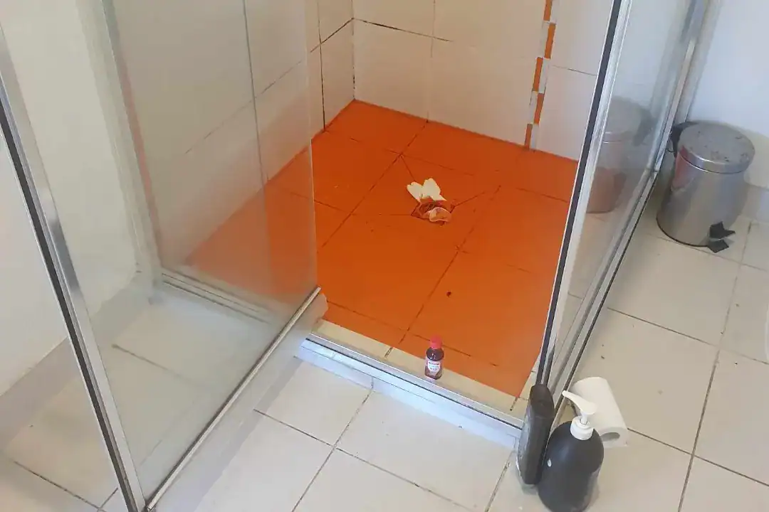 Blocked Drains Glenroy