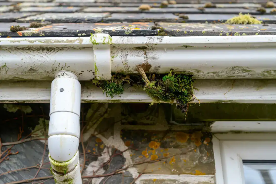 Blocked Drains Coburg